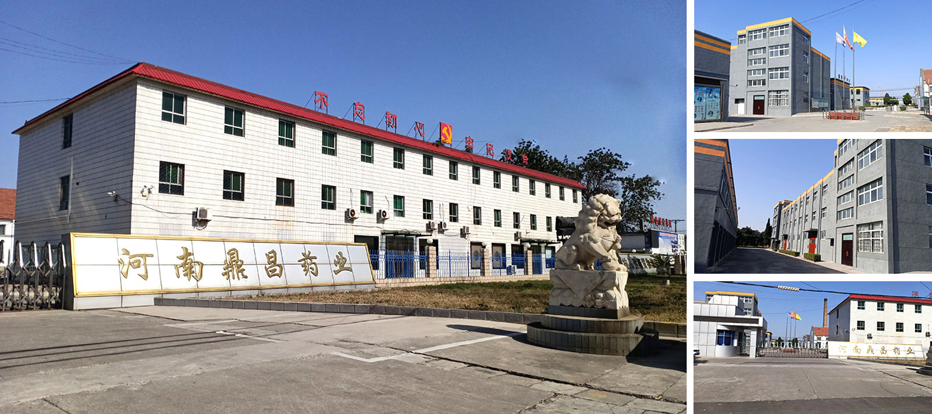 公司簡介